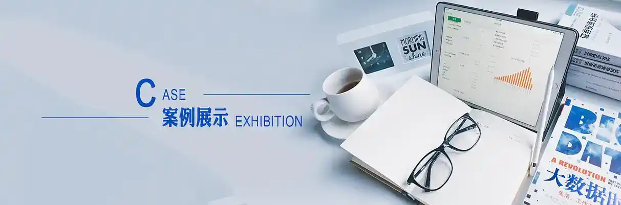 高台县软件开发